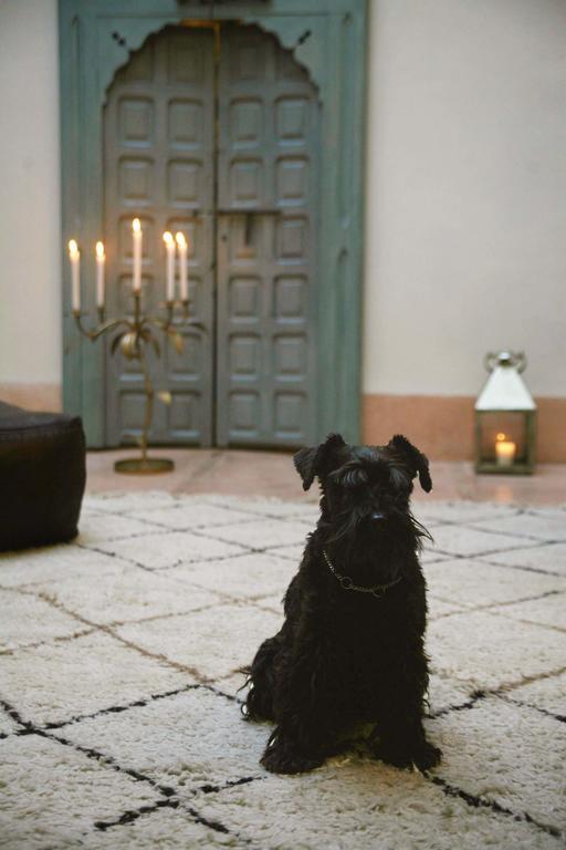 Riad Le J Marrakesh Ngoại thất bức ảnh