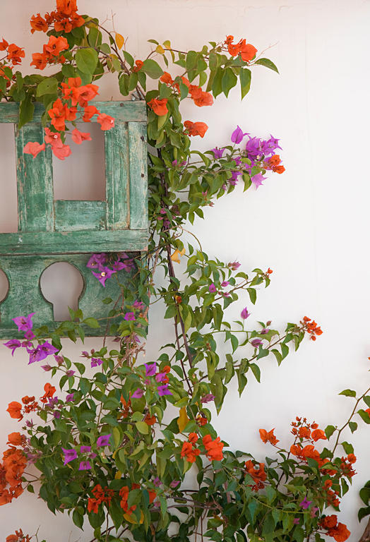Riad Le J Marrakesh Ngoại thất bức ảnh